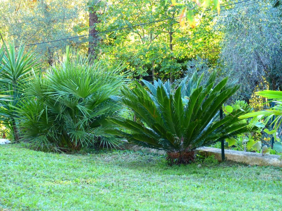 O Tilia D'Azur Bed & Breakfast Roquefort-les-Pins Exterior photo